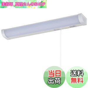 �y���������zLED�������� 20�` �����F �����Ђ��X�C�b�` �z���H���K�v_LT-NKL14D-HC 06-4022