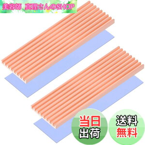 �y���������zRaonlla ���� M.2 SSD �q�[�g�V���N �����M���\ 2280 M2 SSD �q�[�g�V���N �T�[�}���p�b�h�t�� (2������)