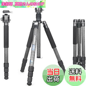 �y���������zINNOREL RT85C �J�[�{�� �O�r �{�[���_�� �L�b�g 184CM �g���x���O�r �v���� �i�b�g���b�N�� �G���x�[�^�[�� �ω׏d 25KG �l�i�r ��r�ώ� �p�C�v�a32mm ���y�� �^���� �o�R ��O �쒹 