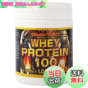 �y���������zWHEYPROTEIN100 �y �z�G�C �v���e�C�� ���� �z �ؓ� �T�v�� �^�u���b�g �^���p�N�� whey protein �����^��