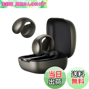 �y���������zAnker Soundcore C40i ���^���b�N�O���[