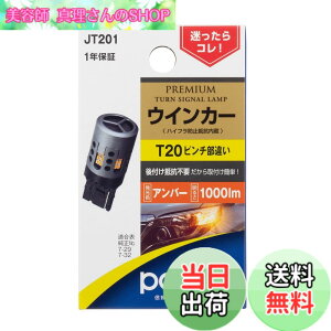 �y���������z�����H�� POLARG(�|���[�O) �E�B���J�[�p�o���u�V���[�Y �F�F��F�A�T�C�Y�FT20 1000lm
