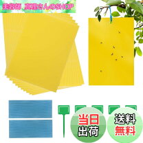 楽天市場】ハチ 粘着シートの通販 蜂ダウン12本+粘着シート12枚