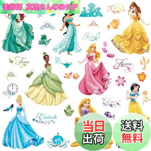 �y���������zRoomMates RMK2199SCS �f�B�Y�j�[ �v�����Z�X ���C���� �f�r���[ �������ē\��E�H�[���f�J�[�� �F�F���C�����f�r���[�A�T�C�Y�F10 inch x 18 inch