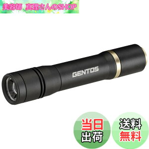 �y���������zGENTOS(�W�F���g�X) �����d�� LED���C�g �[�d�� 200~900���[���� ���N�V�[�h RX-285R/RX-286R/RX-304R/RX-386R/RX-486PB �F�F�u���b�N�A�T�C�Y�F���a29.5x149.5mm