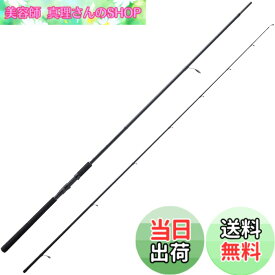 【送料無料】Abu Garcia (アブガルシア) SALTYFIELD ソルティーフィールド 各種 ソルト ロッド 釣り竿 入門 エントリー 初心者 色：なし、サイズ：スピニング:10.0MH(ミィディアムヘビー):ライトショアジギング/シーバス