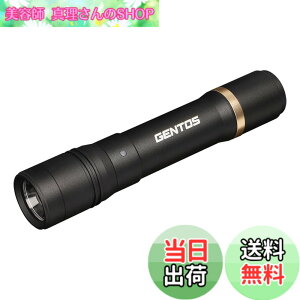 �y���������zGENTOS(�W�F���g�X) �����d�� LED���C�g �[�d�� 200~900���[���� ���N�V�[�h RX-285R/RX-286R/RX-304R/RX-386R/RX-486PB �F�F�u���b�N�A�T�C�Y�F���a30.1x150.4mm