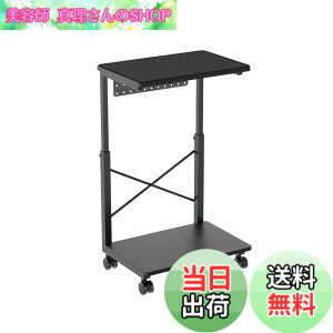 �y���������zAlterzone ���������\ PC���S���E�p�\�R�����b�N �L���X�^�[���A�W���X�^�[�t�� �Q�[�~���OPC�E�����@�Ή� �T�C�h�f�X�N�E�v�����^�[�� ���� �p�\�R�����[ ���~��L���f�X�N PC�u