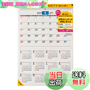 �y���������z�\�� NOLTY 2026�N �J�����_�[ �Ǌ|�� �N�� �F�FC121�A�T�C�Y�FA2