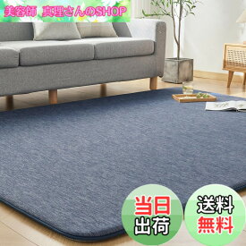 【送料無料】VK Ingeroom カーペット 夏用 極厚30mm 冷感ラグ 厚手 接触冷感 【ひんやりxもっちり】 涼しい 色：ネイビー、サイズ：190x190cm