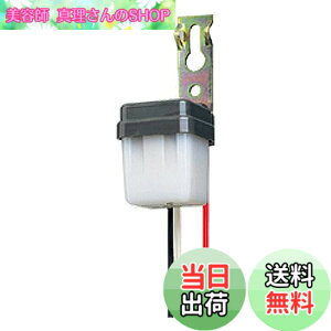 �y���������z���Ń��C�e�b�N �t�H�g�X�C�b�` ELECTRONIC_SWITCH �F�F�u���b�N
