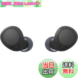�y���������z�\�j�[(SONY) ���S���C�����X�C���z�� WF-C500/WF-C510 :/�����x�ʘb�i��/IPX4�h�H���\ �F�F�u���b�N�A�T�C�Y�F���^�y��