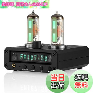 �y���������zNobsound P2-FM 6E2 �^��� �v���A���v �X�e���I �w�b�h�z���A���v �T�E���h���x���C���W�P�[�^�[ FM���W�I ���v clock �N���b�N MIC/AUX �u�����v �F�F�u���b�N�A�T�C�Y�FMINI