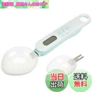 �y���������z�h���e�b�N(dretec) �X�v�[���X�P�[�� �v�ʃX�v�[��(��E��2���) �f�W�^�� 300g 0.1g�P�� PS-400GN �O���[�� �F�F�O���[���A�T�C�Y�FW22.1xD6.5xH2.6cm