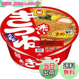【送料無料】マルちゃん 赤いきつねうどん サイズ：41グラム (x 12)