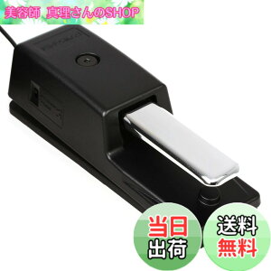 �y���������zRoland ���[�����h �_���p�[�y�_�� DP-10 �n�[�t�_���p�[�Ή� 2.2m�P�[�u�� �d�q�s�A�m �f�W�^���s�A�m �L�[�{�[�h �F�F�u���b�N