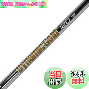 �y���������zTruetemper(�g�D���[�e���p�[) �V���t�g Dynamic Gold �_�C�i�~�b�N�S�[���h120 �A�C�A���V���t�g �Ԏ� �E�F�b�W X100 Flex �P�i DG120IXW �T�C�Y�F�t���[�T�C�Y