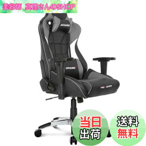�y���������zAKRacing �Q�[�~���O�`�F�A �f�X�N�`�F�A �׋��֎q �w�K�֎q Pro-X JP ���Y���ϋvPU���U�[ 180�x���N���C�j���O �ݑ� �����[�g 5�N �F�F�O���[�A�T�C�Y�F��