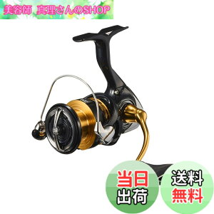 �y���������z�_�C��(DAIWA) �X�s�j���O���[�� 23���K���X LT 1000S~6000D-H �e�� (2023�N���f��) �F�F�u���b�N�A�T�C�Y�FLT2500D