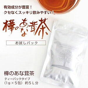 【お試しパック】 樺のあな茸茶 1袋(1g×5包)天然カバノアナタケ100% 免疫力 改善 ティーバックタイプ チャーガ茶 カバノアナタケ茶 酵素 ミネラル 食物繊維 無添加 ノンカフェイン 健康茶