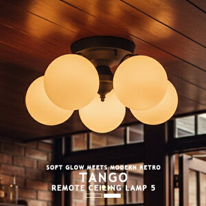 TANGO-REMOTE CEILING LAMP 5 ^S[gV[Ov5 AW-0396 5 ARTWORKSTUDIO A[g[NX^WI k V[OCg V[Ov Ɩ Rt VƖ _CjO rO 