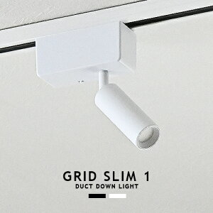 GRID SLIM 1 DUCT DOWN LIGHT ObhX1_Ng_ECg ARTWORKSTUDIO AW-0646 LED _Ng[p X|bgCg F3iKؑ dF F F 3iK CeBO[p 