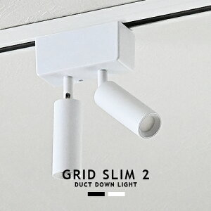 GRID SLIM 2 DUCT DOWN LIGHT �O���b�h�X����2�_�N�g�_�E�����C�g ARTWORKSTUDIO AW-0647 LED���� �_�N�g���[����p �X�|�b�g���C�g ���F3�i�K�ؑ� �d���F �����F �����F ����3�i�K ���C�e�B���O���[����p 