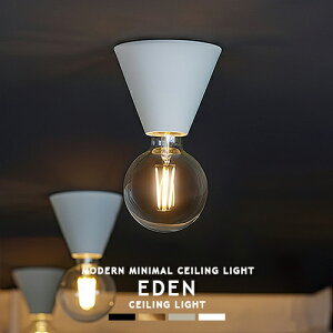EDEN-CEILING LIGHT GfV[OCg AW-0653 ARTWORKSTUDIO A[g[NX^WI k ^ V[Ov _ECg X`[ ^J uX  _ Vv i` ~j}