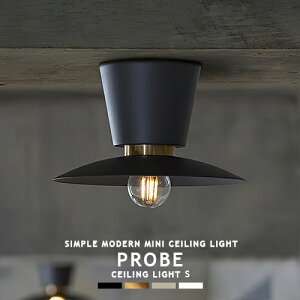 PROBE-CEILING LIGHT S v[uV[OCg S AW-0656 ARTWORKSTUDIO A[g[NX^WI k 1 ^V[OCg V[Ov X`[ ^J  _ Vv ~j} C