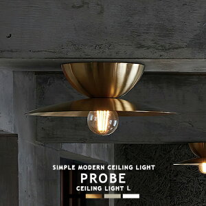 PROBE-CEILING LIGHT L v[uV[OCg L AW-0657 ARTWORKSTUDIO A[g[NX^WI k 1 ^V[OCg V[Ov X`[ ^J  _ Vv ~j} C