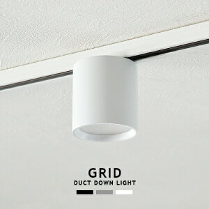 GRID DUCT DOWN LIGHT グリッドダクトダウンライト ARTWORKSTUDIO AW-0551 LED内蔵 ダウンライト 100W相当 色調2段階切替 電球色 昼白色 ダクトレール取付 ライティングレール専用 おしゃれ 照明 ミニマル