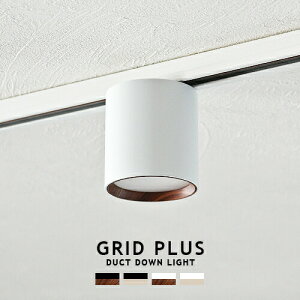 GRID PLUS DUCT DOWN LIGHT ObhvX_Ng_ECg ARTWORKSTUDIO AW-0611 LED _ECg 100W F2iKؑ dF F _Ng[ CeBO[p  Ɩ ~j