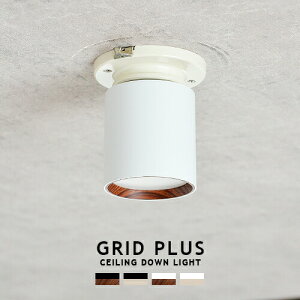 GRID PLUS CEILING DOWN LIGHT ObhvXV[O_ECg ARTWORKSTUDIO AW-0612 LED _ECg 100W F2iKؑ dF F |V[O ȒPt  L  gC 