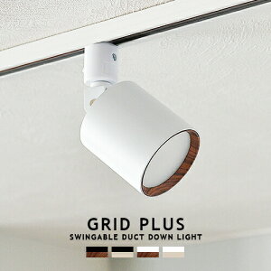 GRID PLUS SWINGABLE DUCT DOWN LIGHT ObhvX_NgXEBKu_ECg ARTWORKSTUDIO AW-0615 LED X|bgCg 100W F2iKؑ dF F _Ng[t CeBO
