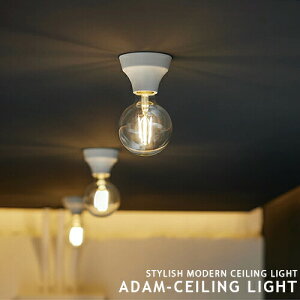 Adam ceiling light A_V[OCg V[OƖ _ECg ARTWORKSTUDIO AW-0634 1 LEDΉ _Ev E26 60W \Pbĝ X`[ ^J |V[O ȒPt  L  g