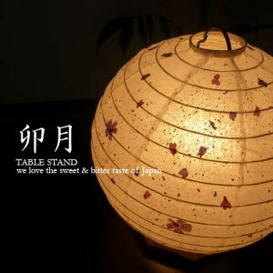 yForesFэH|EKFÂz WB-162bae[uX^hyCeAƖzԁbtHK[hHbHbyԐڏƖz(PX10