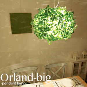 yORLAND BIG I[h rbOzDI CLASSE fBNbZ LEDΉ y_gCg t O[  Ɩ VƖ Cg _CjOp Q rOp [ Lb` JE^[ 