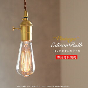 re[WGW\ VINTAGE EDISON BULB [Signature ST58] E26/60W J[{d g AeB[N tBg d  Ɩ (s)   Ki L gC X܃fUC GW\ou V