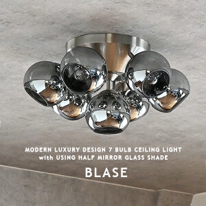 V[OCg BLASE CEILING LAMP u[[ V[Ov HERMOSA nT CM-024 7 KXVF[h Vo[ N[ O[ rO _CjO Q q Xܓ _ NVbN 