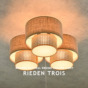 RIEDEN TROIS CEILING LAMP [fg V[Ov V[OCg 3 LEDΉ rO _CjO Q a q GRf _ k a_ WpfB vXCb` _