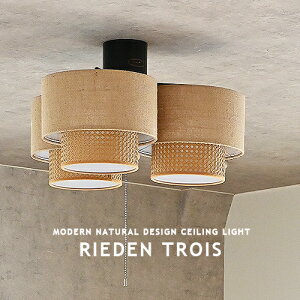 RIEDEN TROIS CEILING LAMP [fg V[Ov V[OCg 3 LEDΉ rO _CjO Q a q GRf _ k a_ WpfB vXCb` _