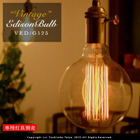 ビンテージエジソン球 VINTAGE EDISON BULB [Globe G125] E26/60W カーボン電球 レトロ アンティーク フィラメント 電球 お洒落 照明 (l) 可愛い 玄関 階段 廊下 トイレ 店舗デザイン エジソンバルブ グローブ カーボン 口金 ツイストブラウンコード別売(2-2