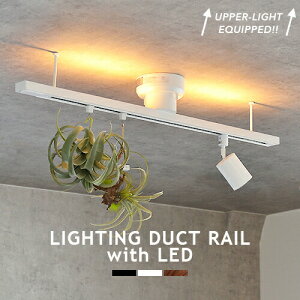 _Ng[ CeBO[ 㕔LEDԐڏƖt _Ng[ LIGHTING DUCT RAIL with LED CeBO_Ng[ R 10iKF 铔 iCgCg _CjO rO q