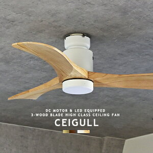 V[Ot@ DC[^[ LED  ^ y CEIGULL V[K rO _CjO Q k _ AeB[N 3H i` uE Ebh VR S[h uE z