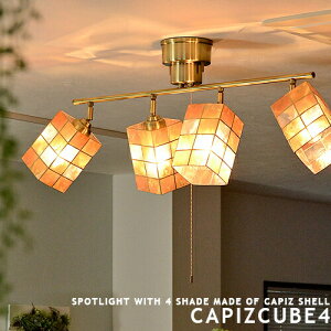 V[OCg  LEDΉ 6 8 4 X|bgCg [CAPIZ CUBE 4FJsXL[u4] rOp ԗp _CjOp Hp VFv Lk nhCh AWA ][g 