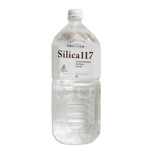 yVJ 2L Iׂ{z\ݐ Silica117 VJ  i`~lEH[^[ ~l GCWOPA Y_f CI