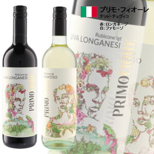   yC vEtBI[ 2{zIׂ   Kl[W t@[] / ebE`FBR / C Zbg Mtg v[g ̓ ̓ hV̓ nEB NX