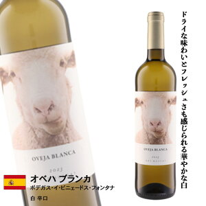   yIxn uJ z1{ or 2{ /~XJEAEveBEO 100% {fKXECErjF[hXEtH^i / C Zbg Mtg v[g ̓ ̓ hV̓ n