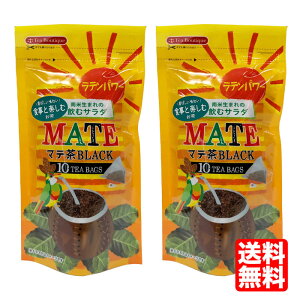 【送料無料】ティーブティック tea boutique マテ茶 2袋セット ティーブティック マテ・ブラック(三角型ティーバッ】 日本緑茶センター マテブラック ロースト 飲むサラダ マテ茶 (10包)