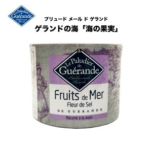 y Qh̉z@tX t[ h [ h Qh Qh̉ C̉ʎ  c